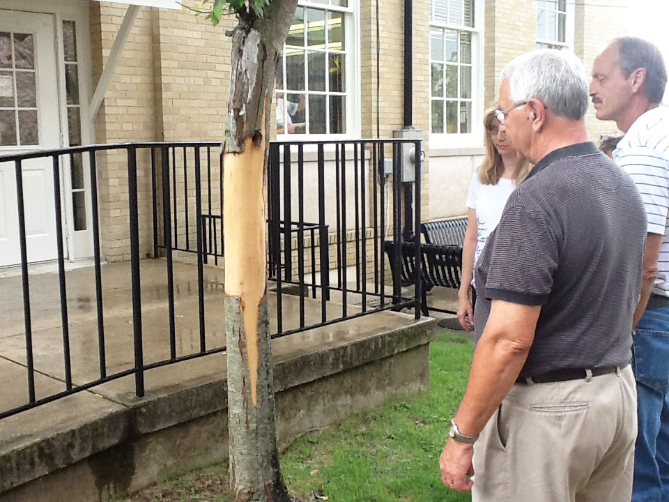 Mayor Ken Sunseri and Lt. Tim Steien study the damage to the tree outside the library
